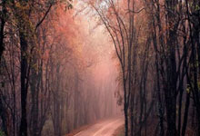 杭州股票配资:股票什么app好用-最高20万购房补贴！湖南一地放大招